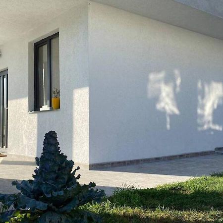 Lola Seaview Guest House. Уютный Домик В Варне Varna Bagian luar foto