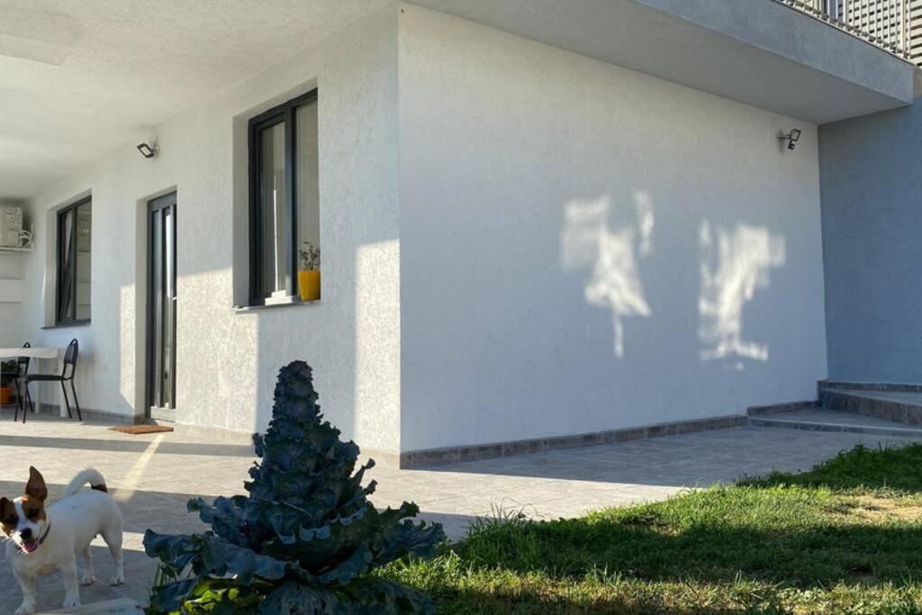 Lola Seaview Guest House. Уютный Домик В Варне Varna Bagian luar foto