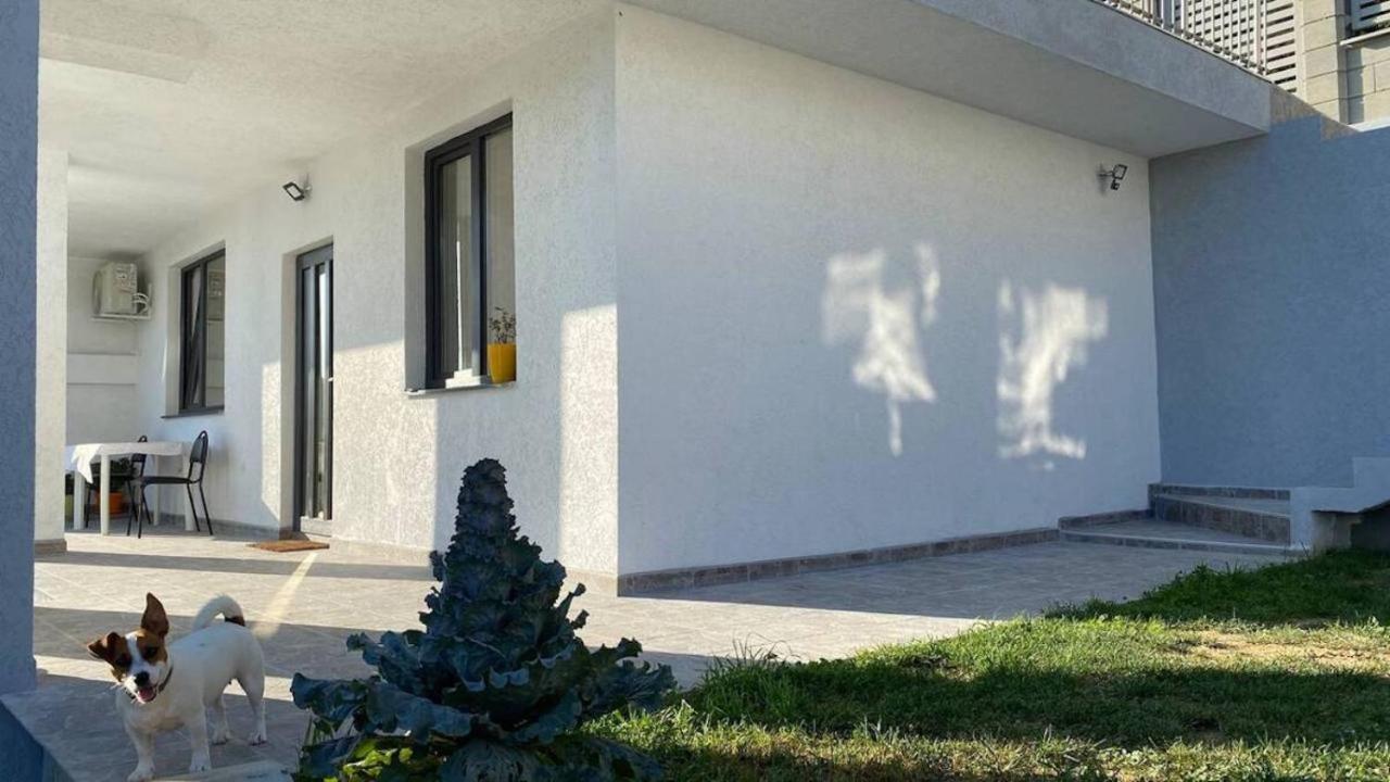 Lola Seaview Guest House. Уютный Домик В Варне Varna Bagian luar foto
